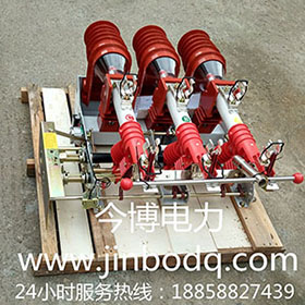 FN12-12RD/125-31.5負荷開關(guān)FN12-10RD 熔斷器式高壓戶內(nèi)開關(guān)